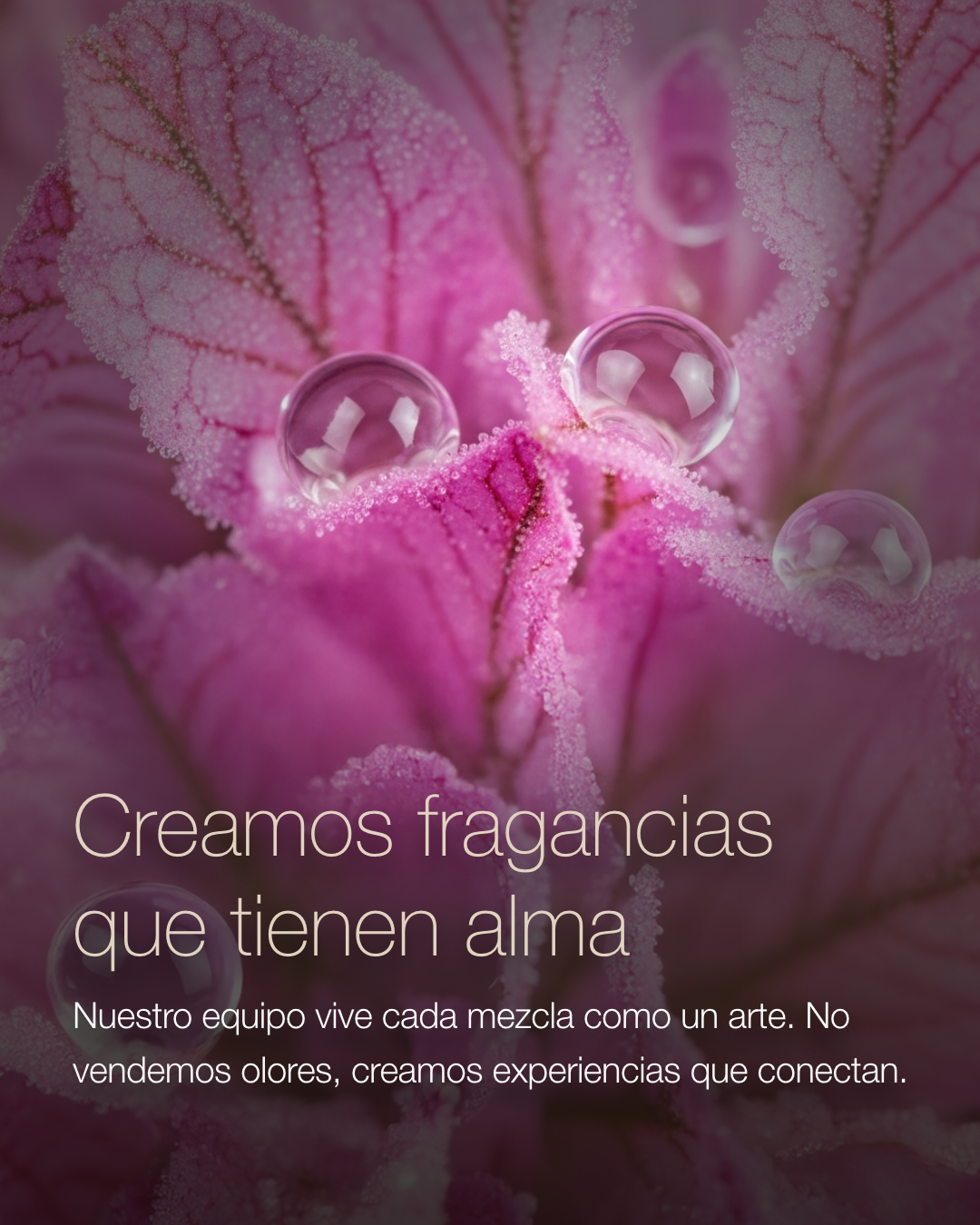 Creamos fragancias que tienen alma