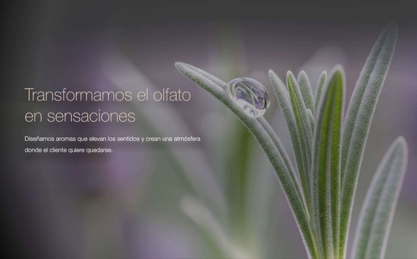 Transformamos el olfato en sensaciones